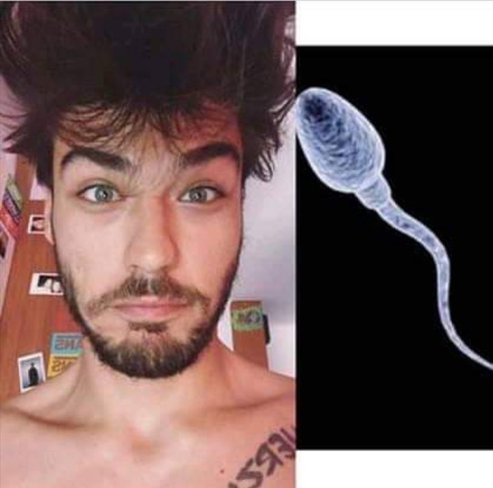 2744518 arabspermcel