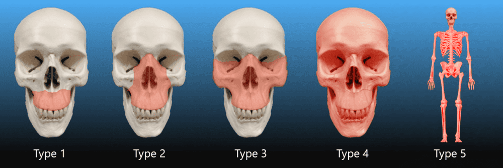 1822403 1591218425193