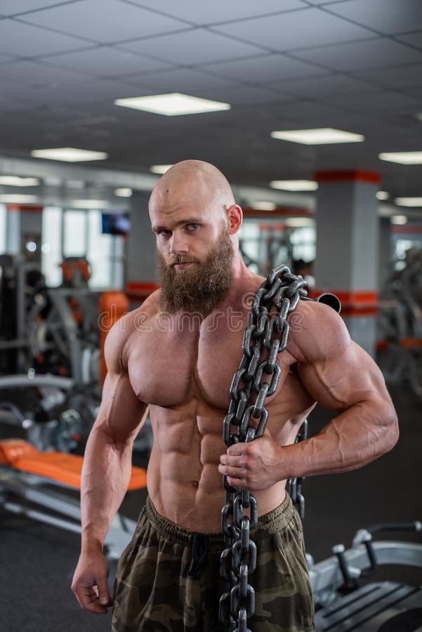 Ein kahler b rtiger bodybuilder mit den gro en entlastungsmuskeln h lt eine schwere starke ket