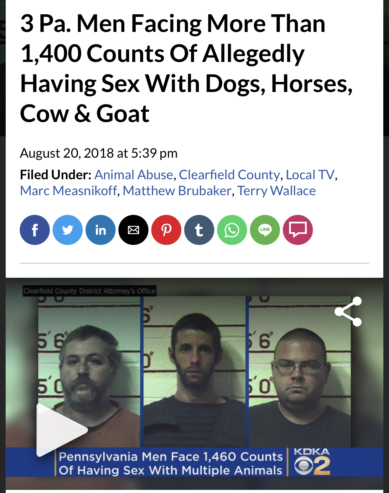 Whitecel fucking dogs