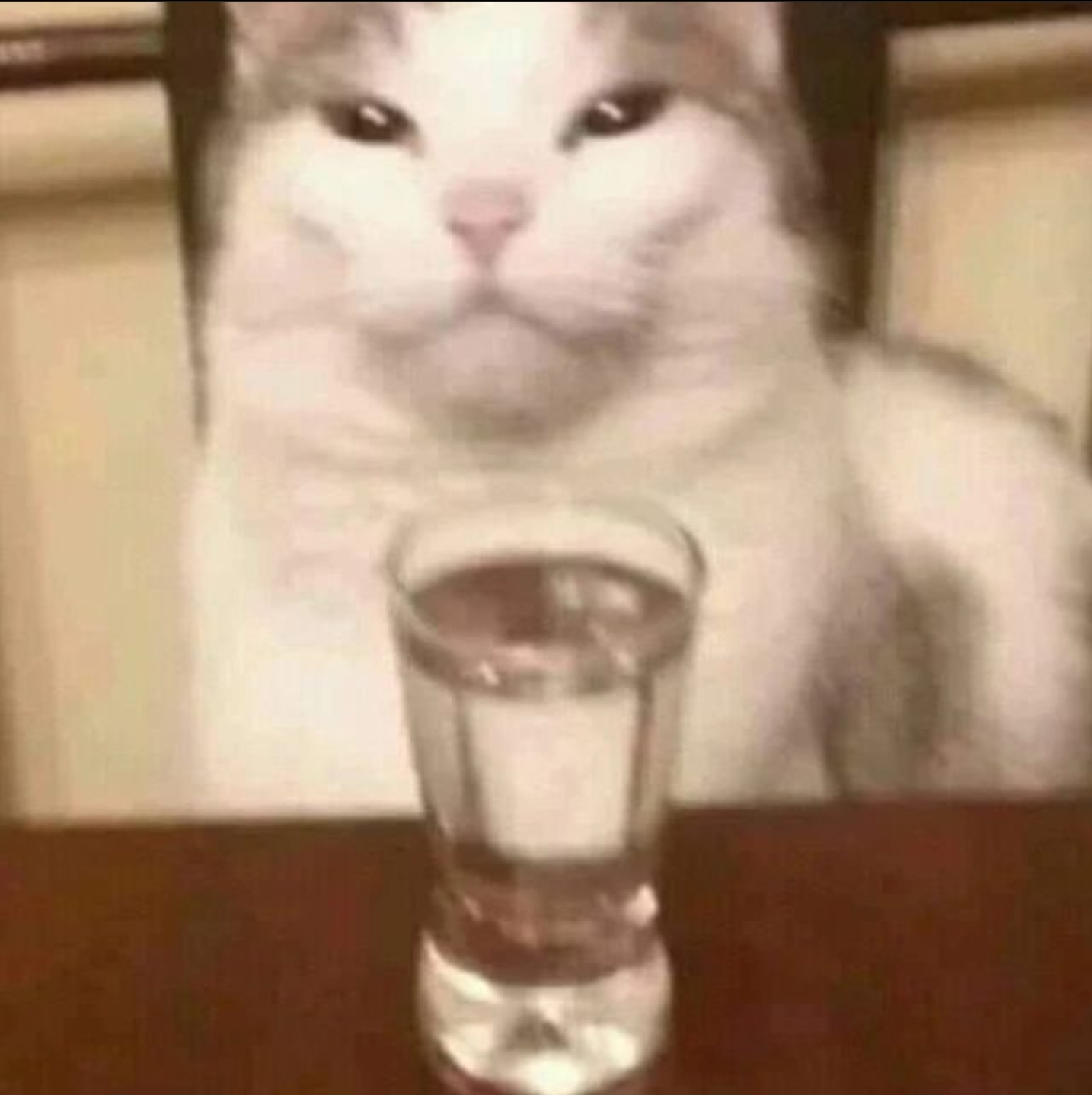 Screenshot 20220211 175635 Instagram