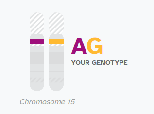 My eye genotype