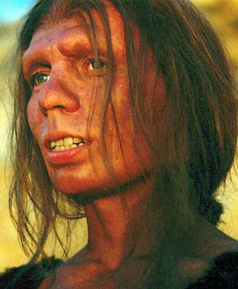 800px Reconstruction of Neanderthal woman