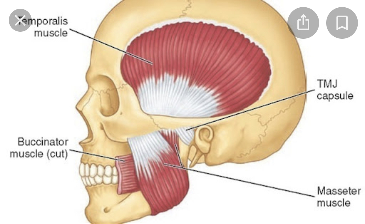 F377D230 96C7 4307 AC67 C7A90137C00D