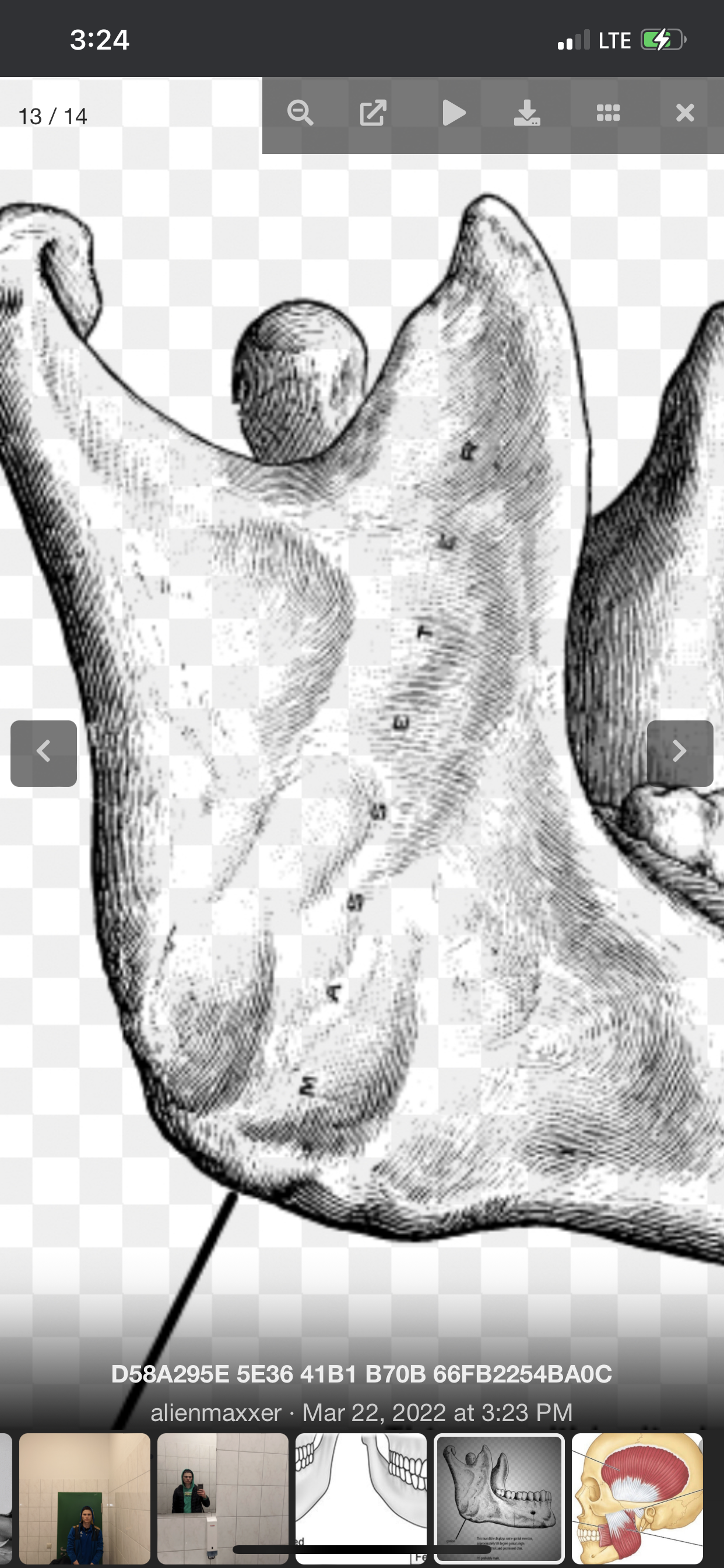 E8D11323 79CC 470D B88F 743868903A8A