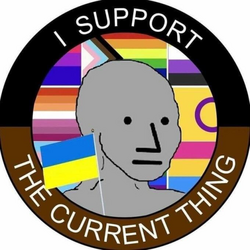 Rsz 1npc i support the current thing flags edition