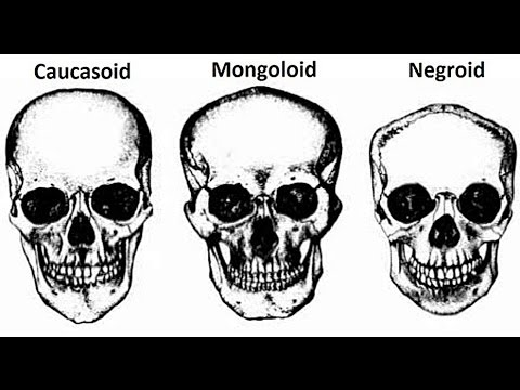 1648082229960