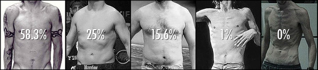 Most attractive male body fat percentage too lean abs