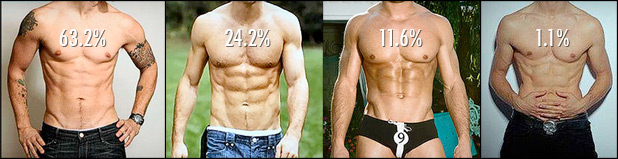 What body fat percentage do women find most attractive abs too lean