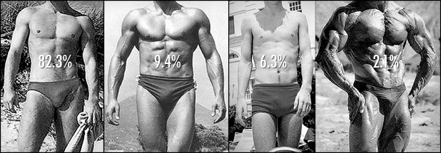 What body fat percentage do women find most attractive abs