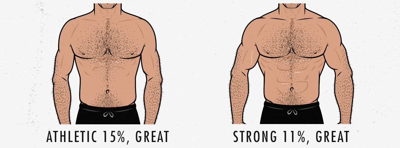 Most attractive male body fat percentage to women abs muscularity