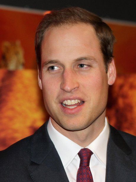 Prince william  1371553833 view 1 1