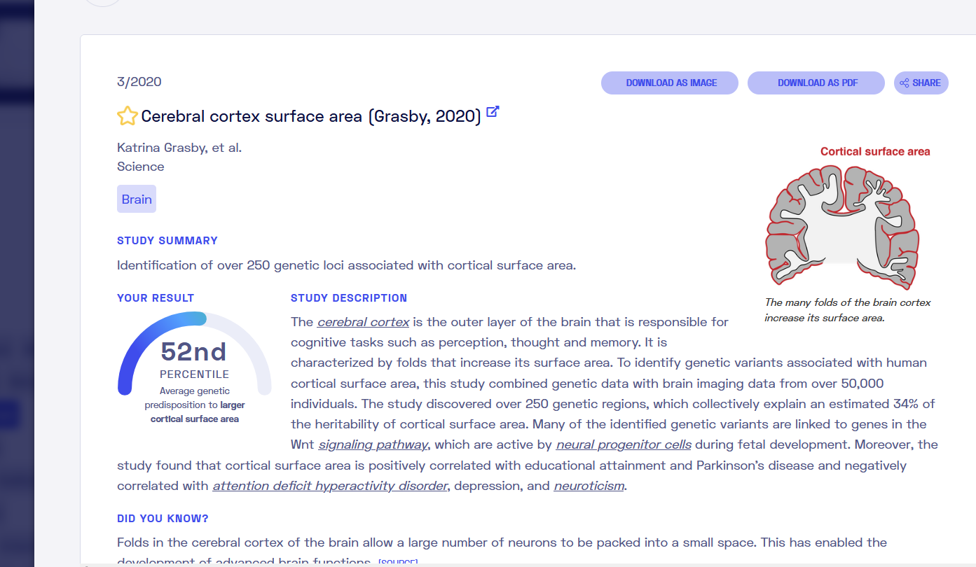 Cortex