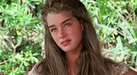 2599694 brooke shields sighing gif gigastacy