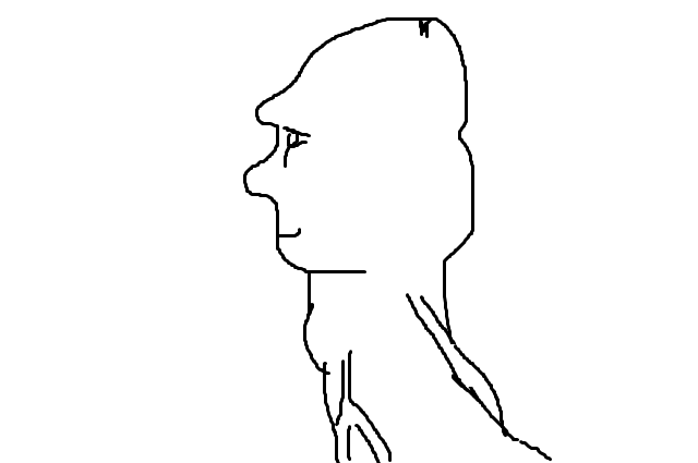 Pphead