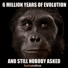 Nobody asked 6million years