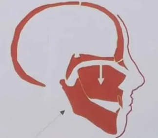 1648645459327