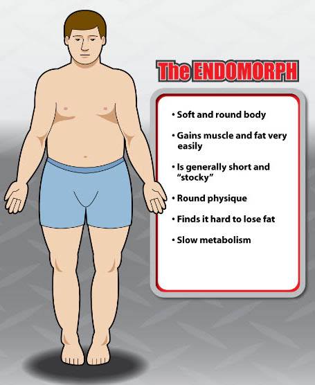 Body Type Endomorph