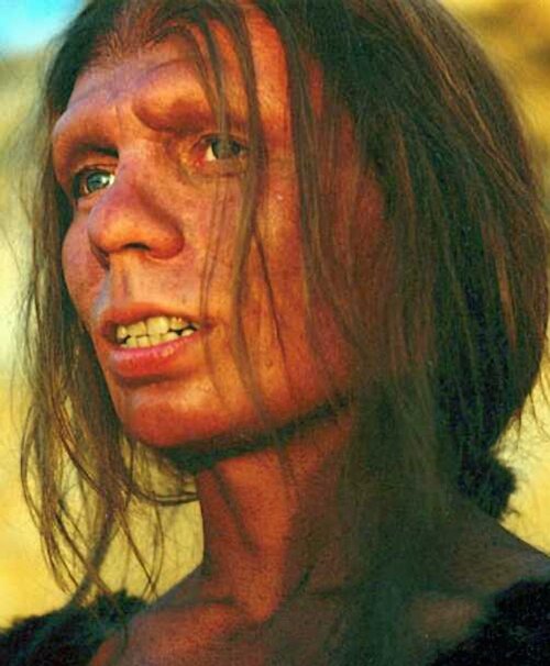 1024px-Reconstruction_of_Neanderthal_woman.jpg
