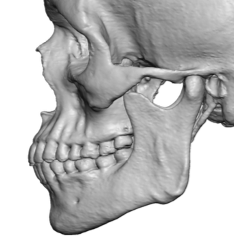 A987415B-B0C8-419E-836E-3AE0366B31BF.png