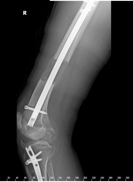 2afb2df9 ff92 4b65 b67c be0ee4e47d3b