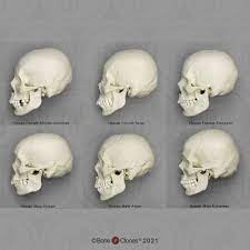 1648845185619