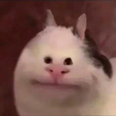 16833