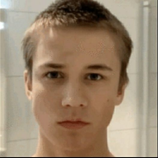 Arvid3
