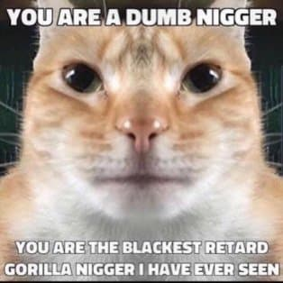 Ilikeblacksandilikegaysidontlike 70819dcd55ded8082249f6ca5cca9a5b