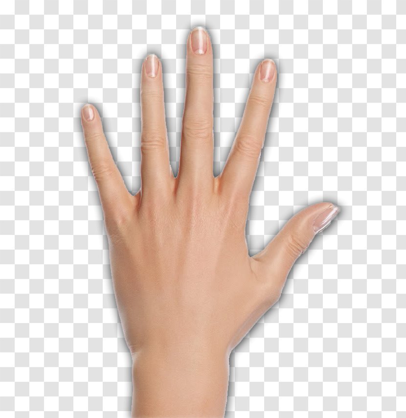 Character structure thumb finger hand model arm