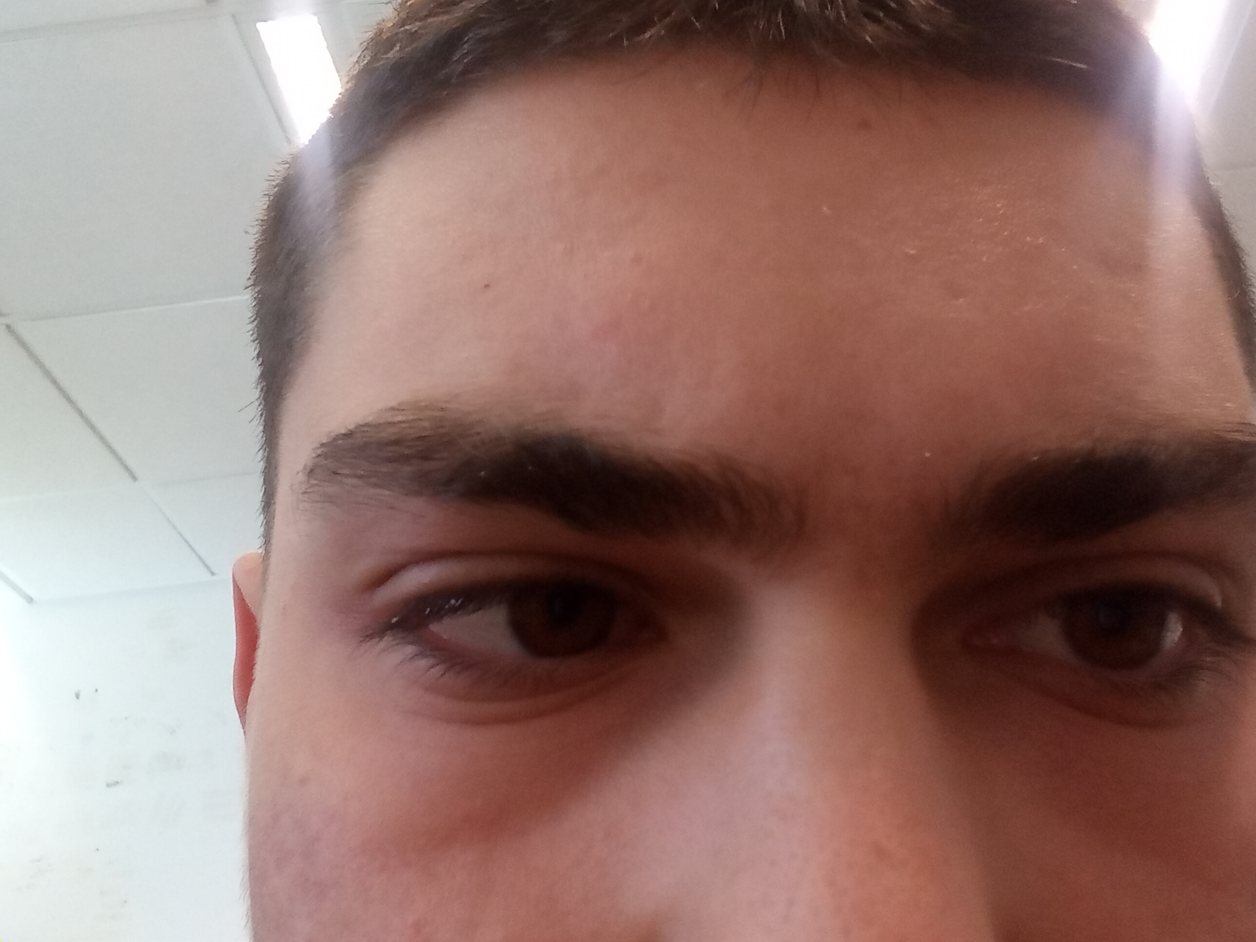 16491541602091512824435483275708