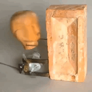 30341