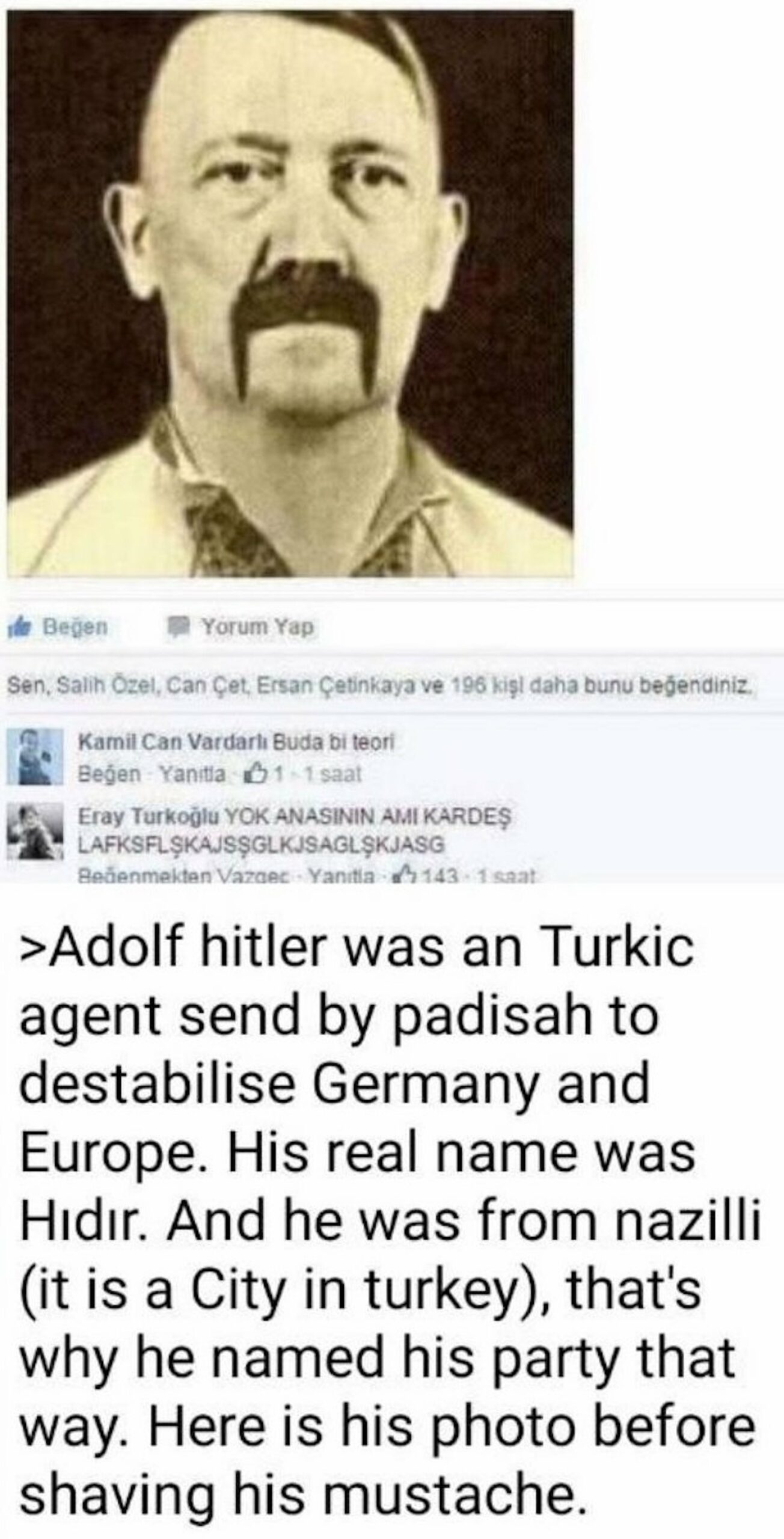 Turk hitler scaled