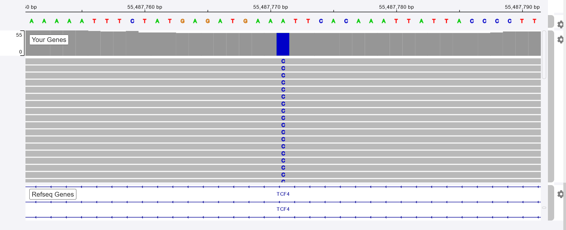 TCF4