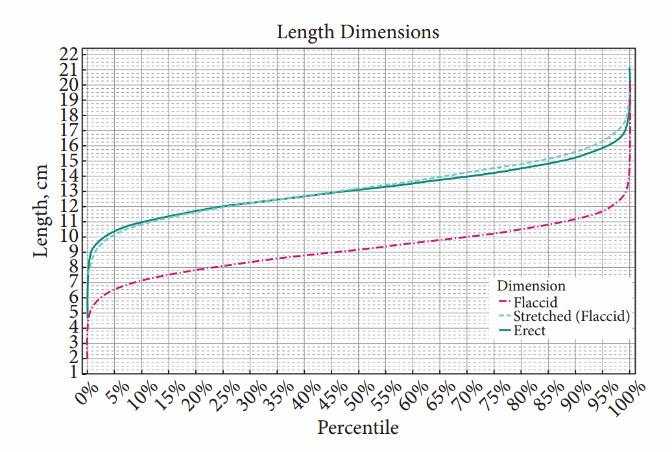Xsn penisdimensions rev