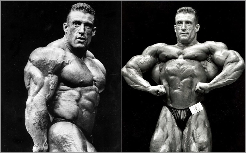 Dorian yates workout routine diet