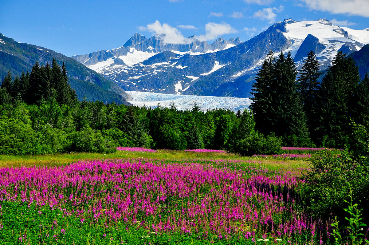Mendenhall glacier viewpoint