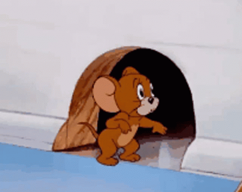 Tom and jerry jerry the mouse