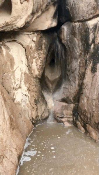 1649795937202
