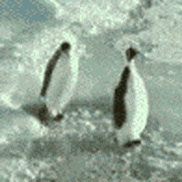 200