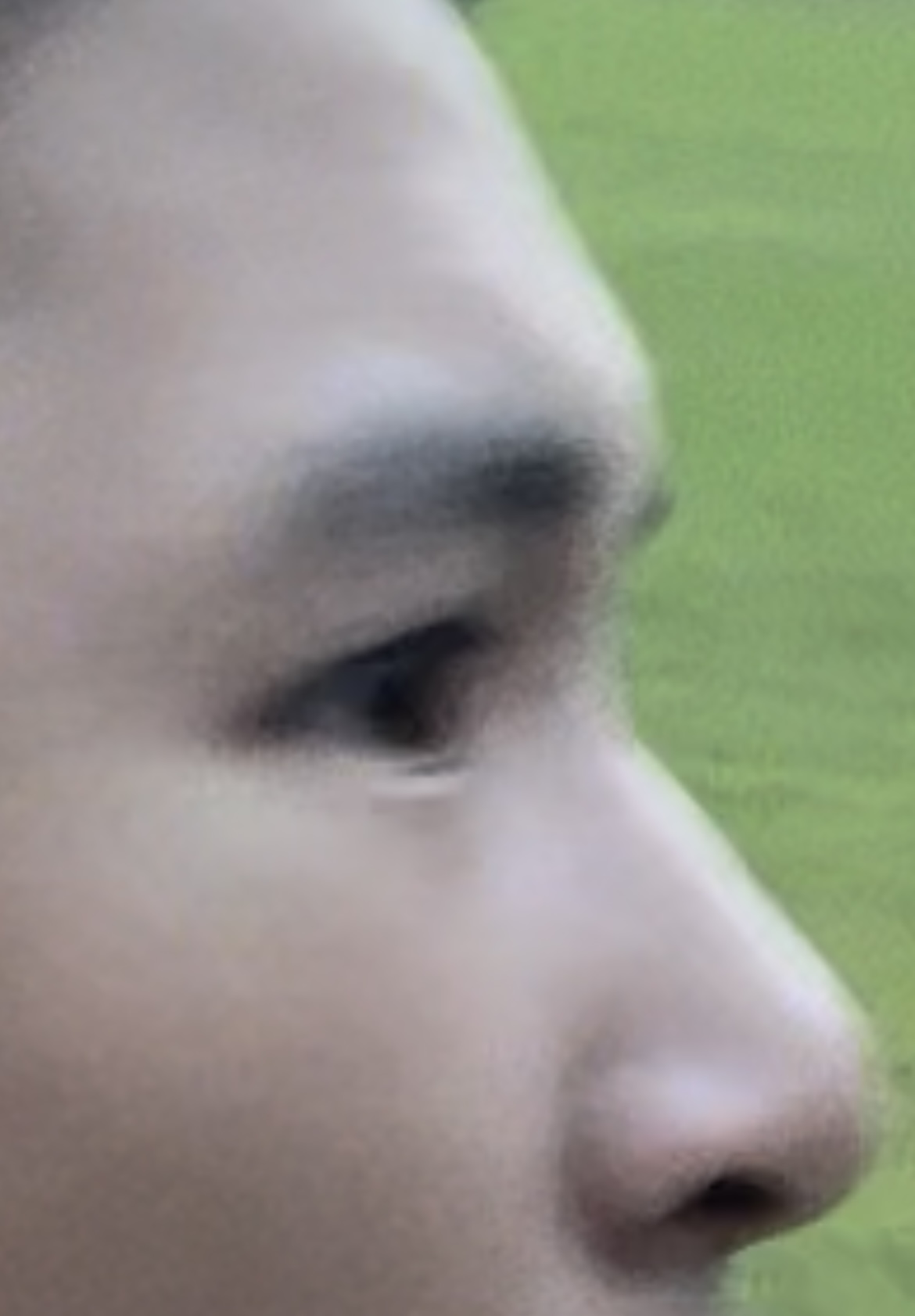 EE19A6CC 7E45 44E6 BDCC F9F81E0C801C