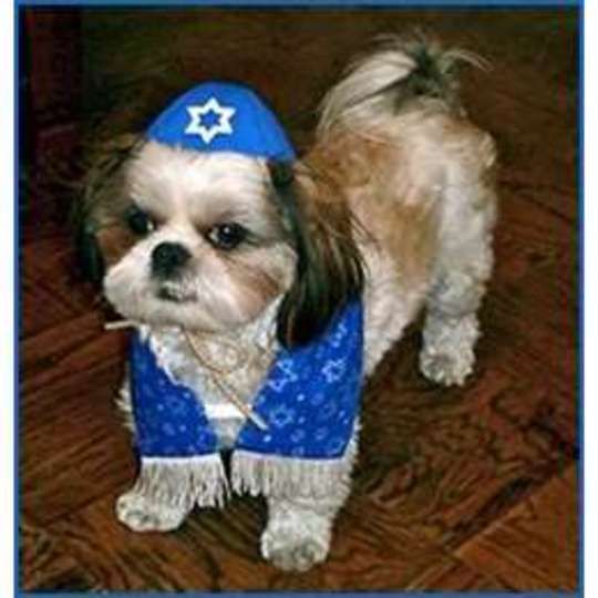 Jew
