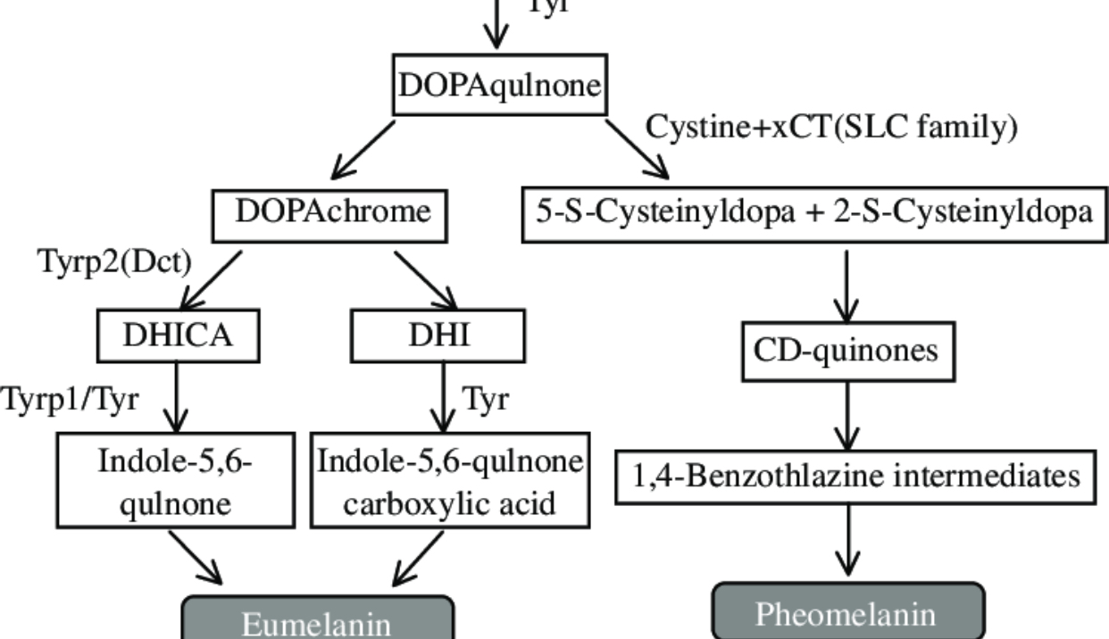 FE12A198 F03F 4E15 851F A1A207FDCF61