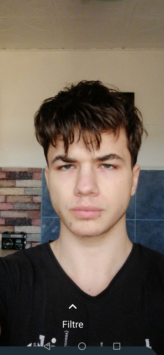 1650217731035