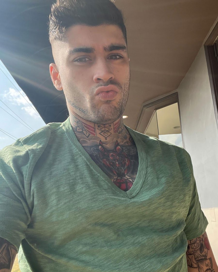 February 2022 Zayn Malik Through the Years