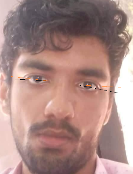 1650453719481