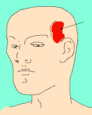 1650537784736