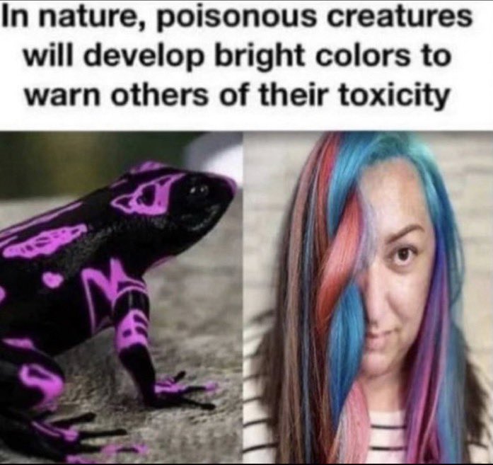 20220420 172341