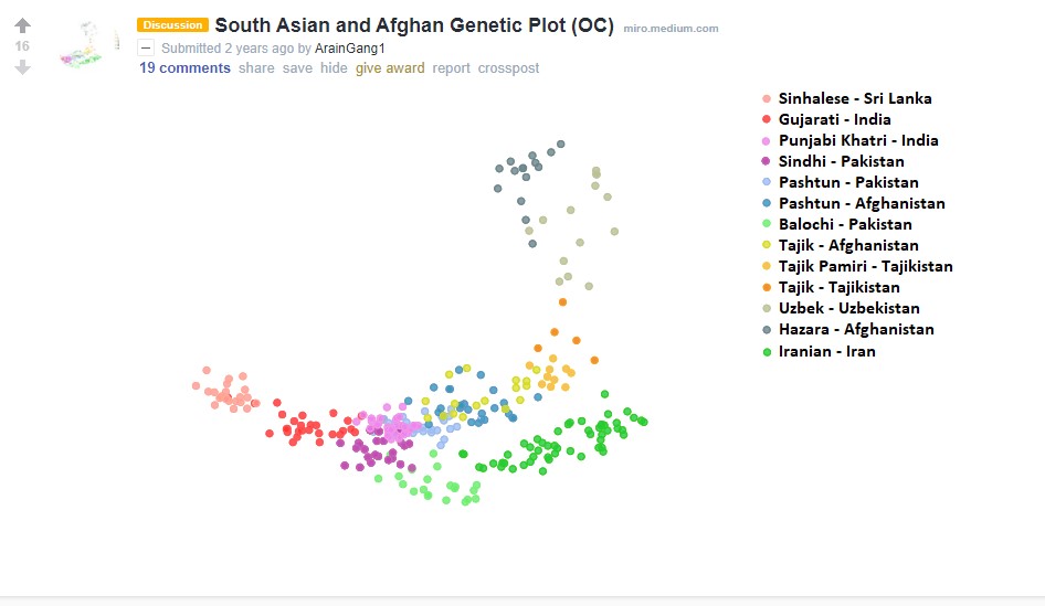 South asian genetic cluster