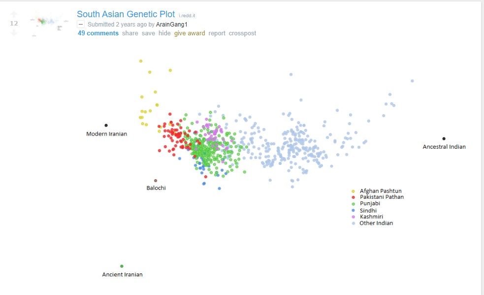 South Asian genetic plot